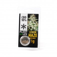 Lemon Haze pollen 10%